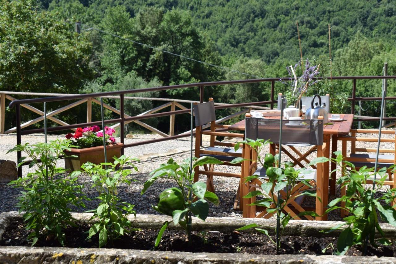 Tenuta Della Selva Murlo Exterior foto